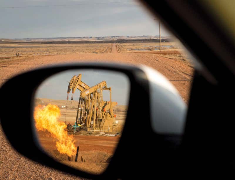 New Scientist. Science news and long reads from expert journalists, covering developments in science, technology, health and the environment on the website and the magazine.