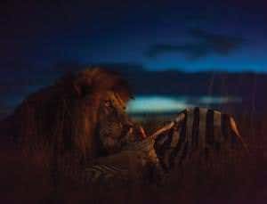 The night: Things that go bump...