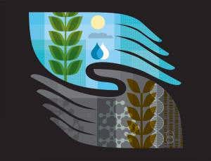 The odd couple: Can bioengineering protect nature?