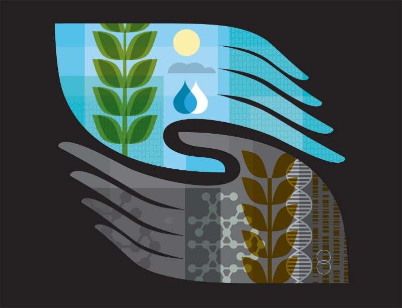 New Scientist. Science news and long reads from expert journalists, covering developments in science, technology, health and the environment on the website and the magazine.