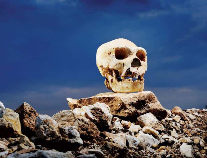 New Scientist. Science news and long reads from expert journalists, covering developments in science, technology, health and the environment on the website and the magazine.