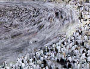 Mapping pilgrims' body heat to make a safer hajj