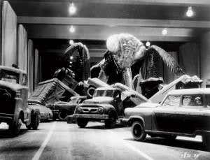 Why insects bug us so much