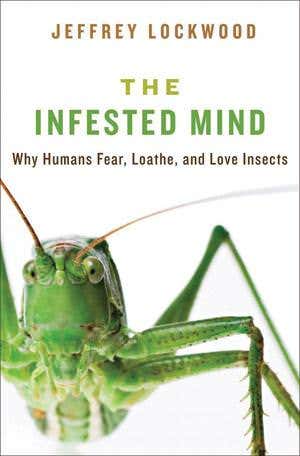 Why insects bug us so much