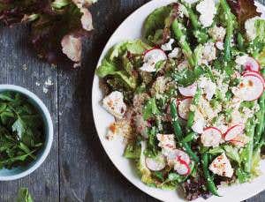 Diet switch sparks gut bug revolution in just 24 hours