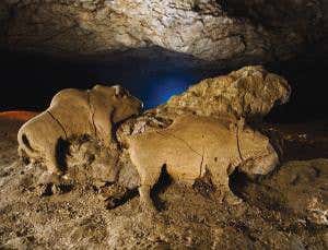 Kalahari trackers who read ice-age life in footprints