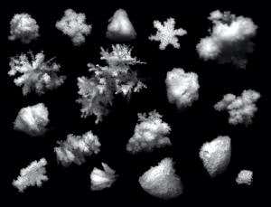 The great white lie: What snowflakes really look like