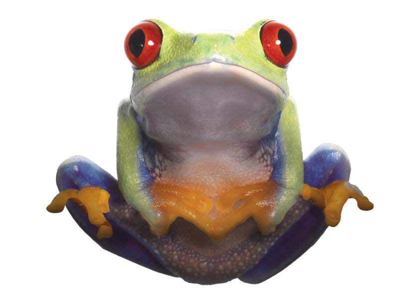 New Scientist. Science news and long reads from expert journalists, covering developments in science, technology, health and the environment on the website and the magazine.