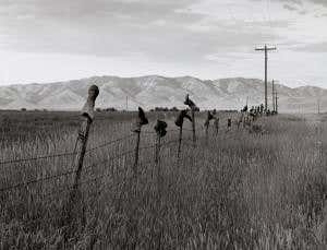 Wired Wild West: Cowpokes chatted on fence-wire phones