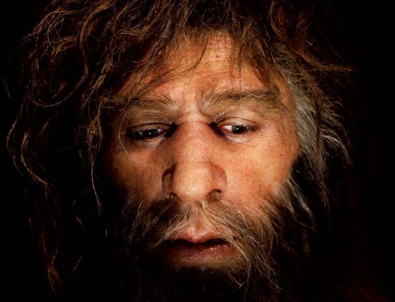 New Scientist. Science news and long reads from expert journalists, covering developments in science, technology, health and the environment on the website and the magazine.