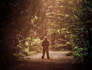 Bigfoot found? AI tool sifts fact from myth on Twitter