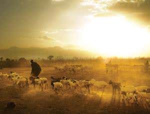 2014 preview: The key to surviving climate change