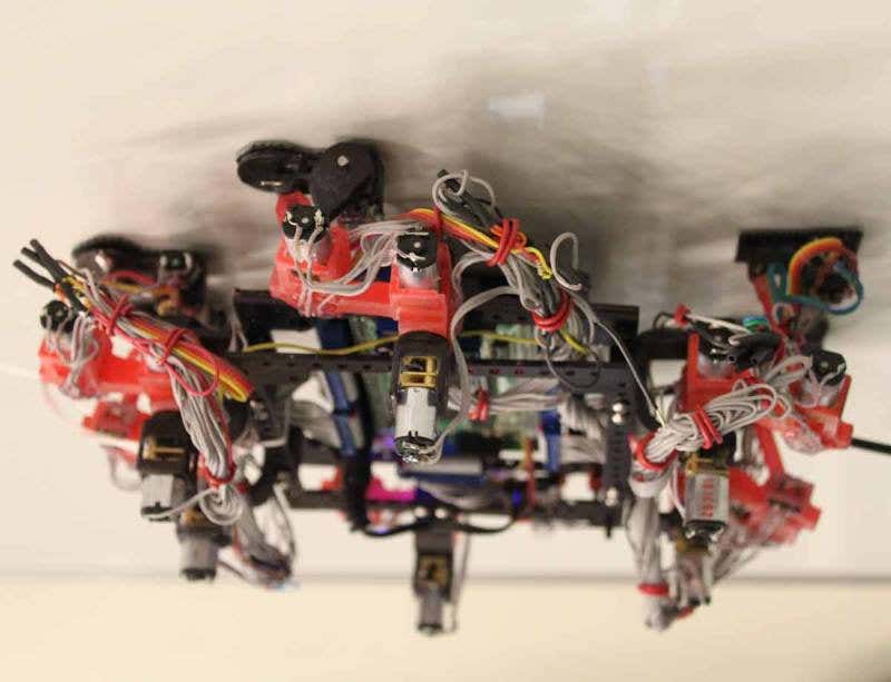 New Scientist. Science news and long reads from expert journalists, covering developments in science, technology, health and the environment on the website and the magazine.