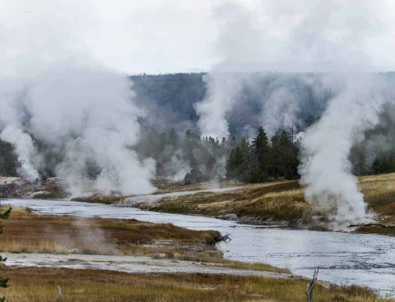 New Scientist. Science news and long reads from expert journalists, covering developments in science, technology, health and the environment on the website and the magazine.