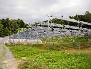 Renewable village offers lifeline to Fukushima farmers
