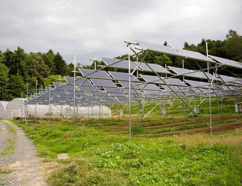 New Scientist. Science news and long reads from expert journalists, covering developments in science, technology, health and the environment on the website and the magazine.