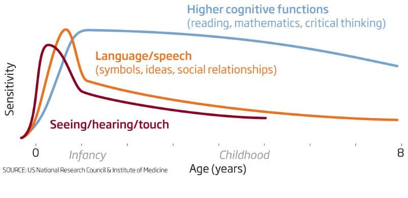 Learning drugs reawaken grown-up brain's inner child