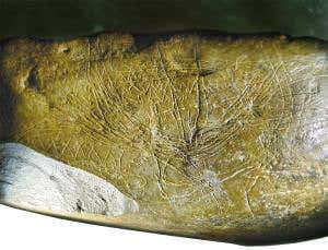 Stone Age mural ups the stakes in quest for oldest map