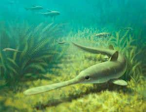 Prehistoric sharks were earliest animals to migrate
