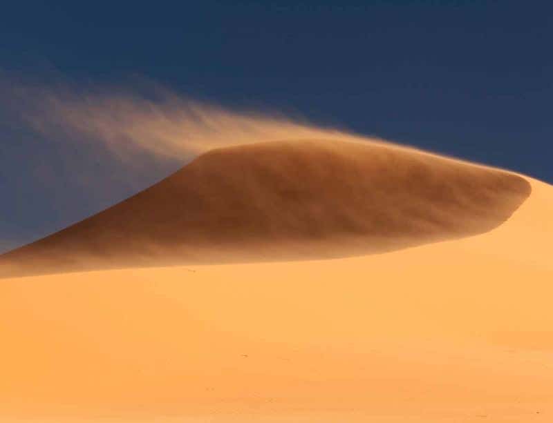 New Scientist. Science news and long reads from expert journalists, covering developments in science, technology, health and the environment on the website and the magazine.