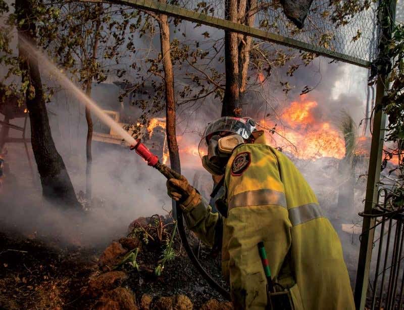 New Scientist. Science news and long reads from expert journalists, covering developments in science, technology, health and the environment on the website and the magazine.