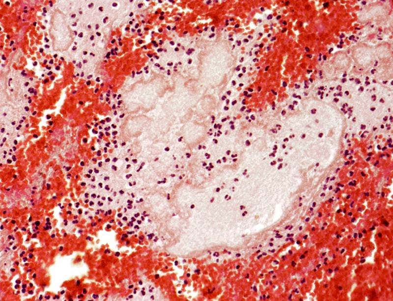 New Scientist. Science news and long reads from expert journalists, covering developments in science, technology, health and the environment on the website and the magazine.