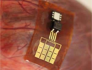 New Scientist. Science news and long reads from expert journalists, covering developments in science, technology, health and the environment on the website and the magazine.