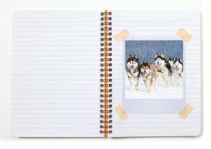 Get ahead of the postdoc pack