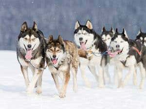 New Scientist. Science news and long reads from expert journalists, covering developments in science, technology, health and the environment on the website and the magazine.