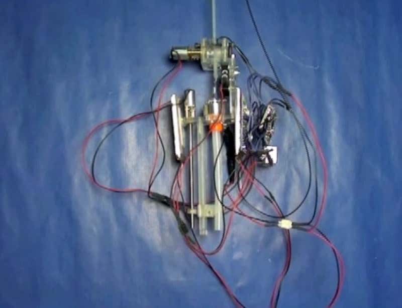 New Scientist. Science news and long reads from expert journalists, covering developments in science, technology, health and the environment on the website and the magazine.