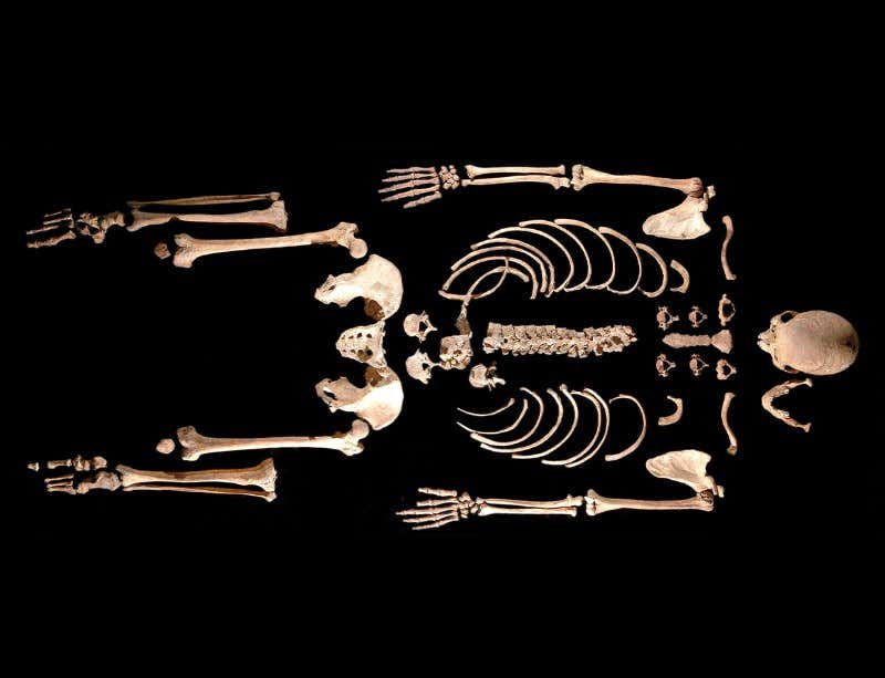 Ancient European hunter-gatherer was a blue-eyed boy