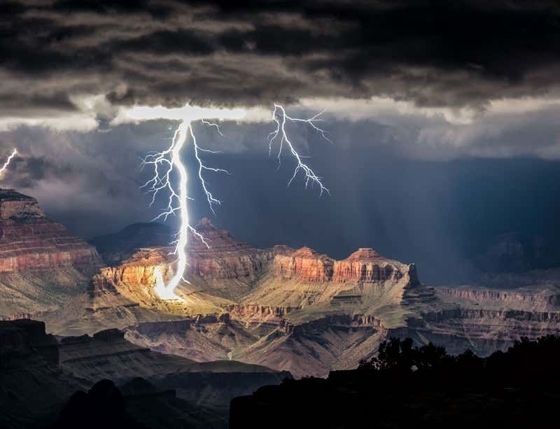 New Scientist. Science news and long reads from expert journalists, covering developments in science, technology, health and the environment on the website and the magazine.