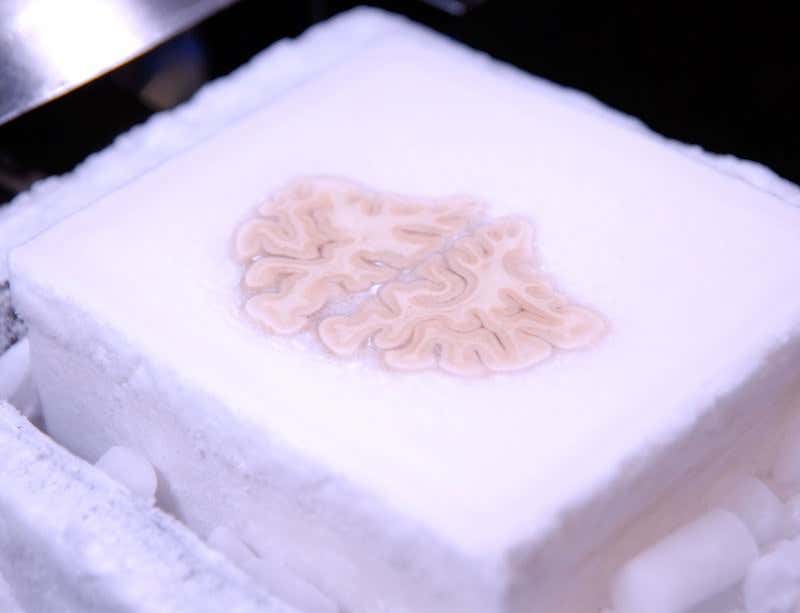 New Scientist. Science news and long reads from expert journalists, covering developments in science, technology, health and the environment on the website and the magazine.