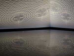 Artistic tales of Earth's two thawing poles