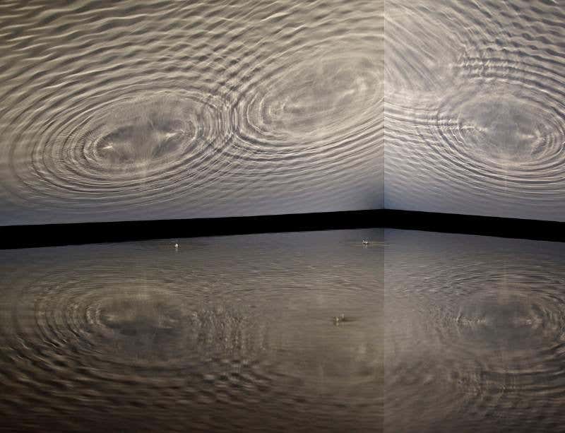 New Scientist. Science news and long reads from expert journalists, covering developments in science, technology, health and the environment on the website and the magazine.