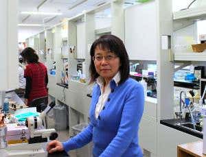 Why I'm sure human stem cell trial will be safe