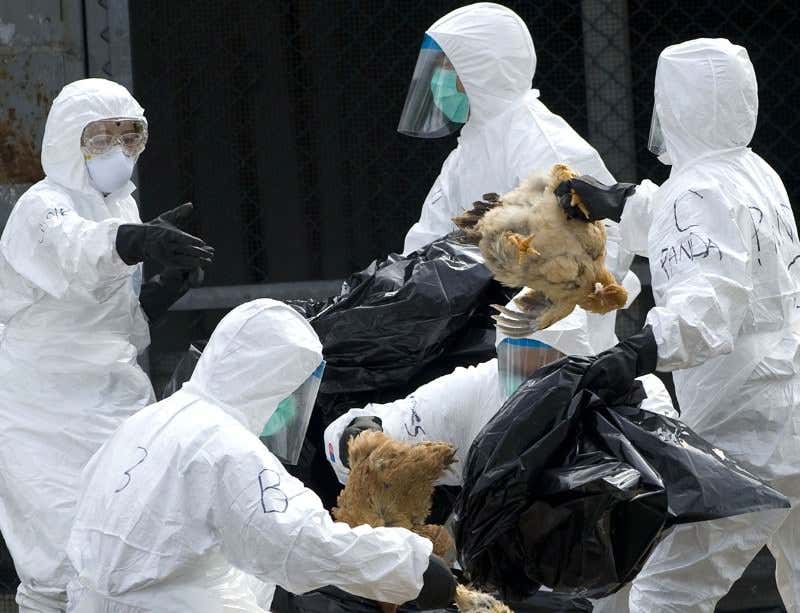 New Scientist. Science news and long reads from expert journalists, covering developments in science, technology, health and the environment on the website and the magazine.