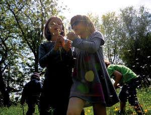 Mix of hepatitis and pollen blows hay fever away