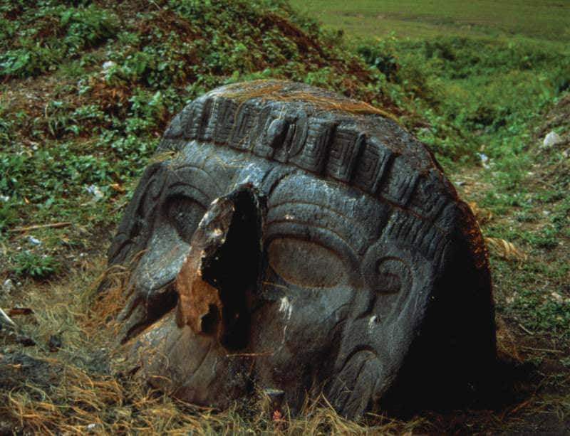 New Scientist. Science news and long reads from expert journalists, covering developments in science, technology, health and the environment on the website and the magazine.