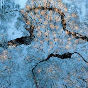 Ice-scapes from the air turn nature into a painting