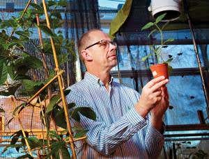 Human meddling will spur the evolution of new species