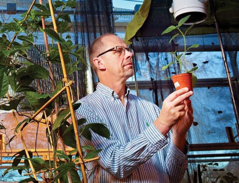 New Scientist. Science news and long reads from expert journalists, covering developments in science, technology, health and the environment on the website and the magazine.