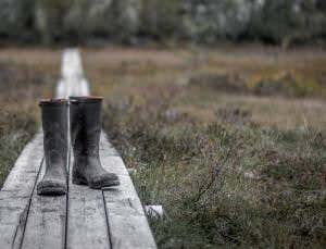 Squelch! The mystery of Britain's young bogs