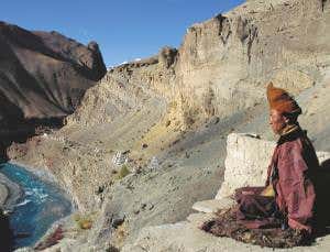 How far can a Buddhist approach to biology take us?