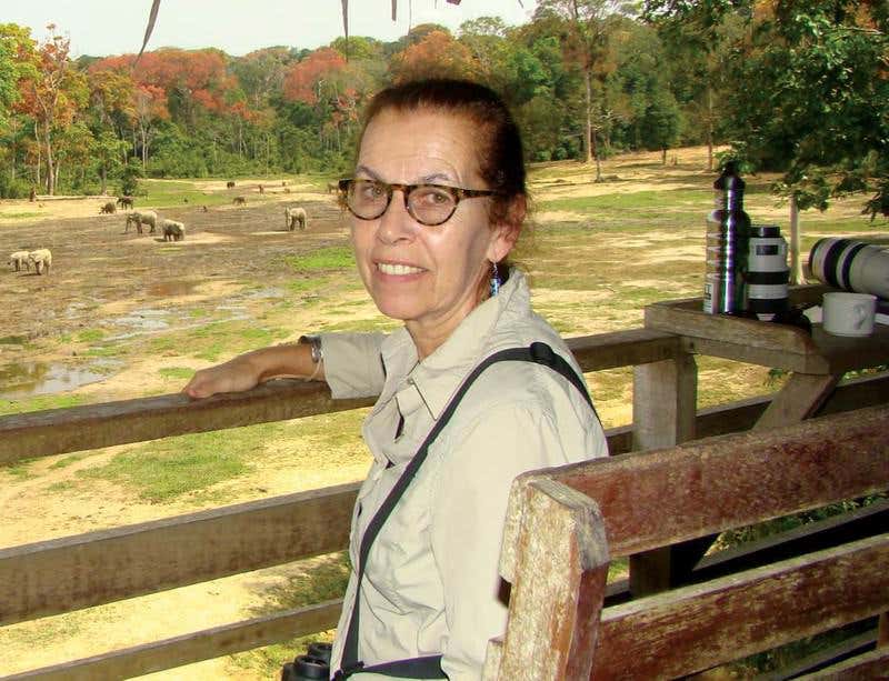 New Scientist. Science news and long reads from expert journalists, covering developments in science, technology, health and the environment on the website and the magazine.