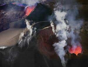Volcanic mayhem drove major burst of evolution