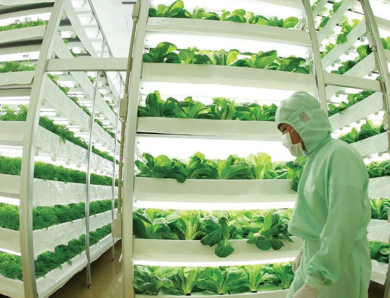 New Scientist. Science news and long reads from expert journalists, covering developments in science, technology, health and the environment on the website and the magazine.