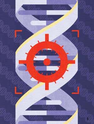Right on target: New era of fast genetic engineering