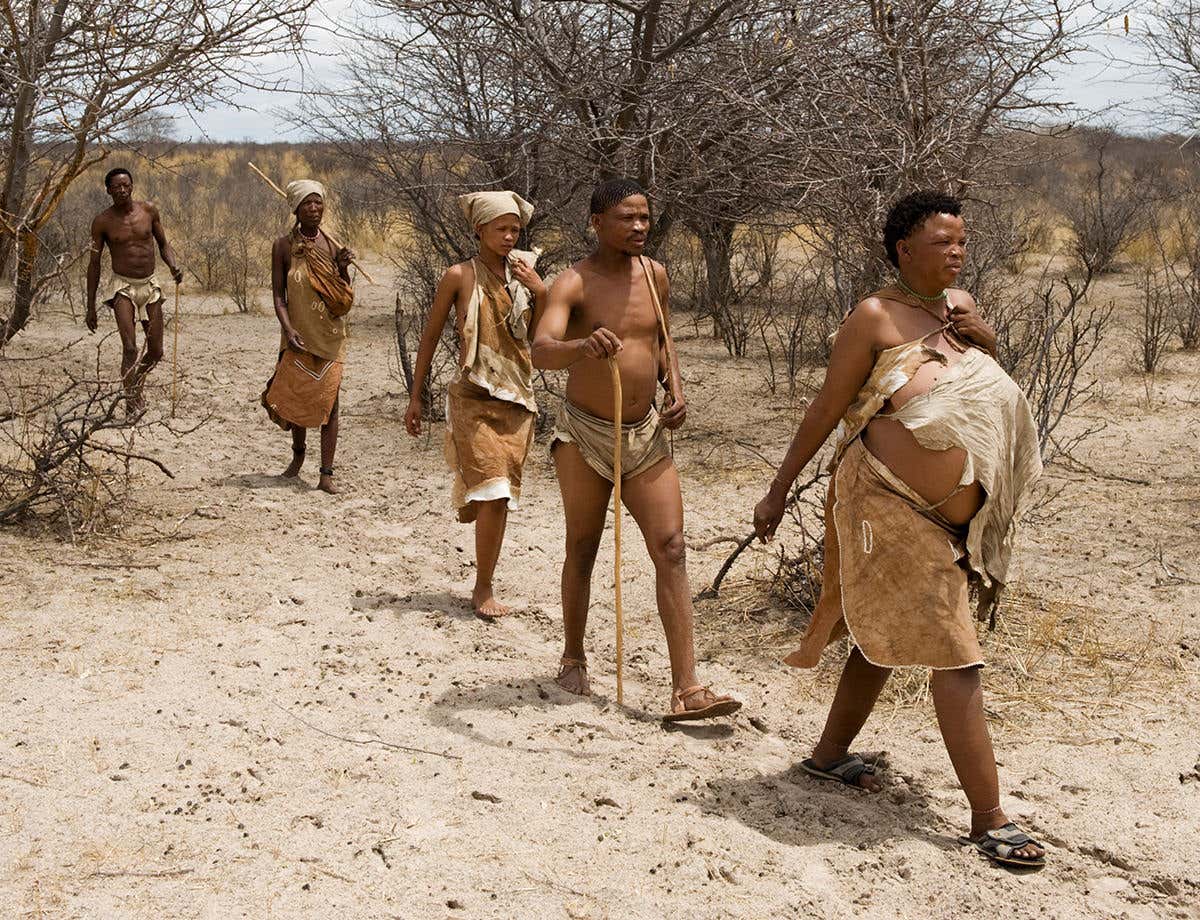 Khoisan people walking through sandy bush