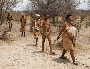 Humanity's forgotten return to Africa revealed in DNA